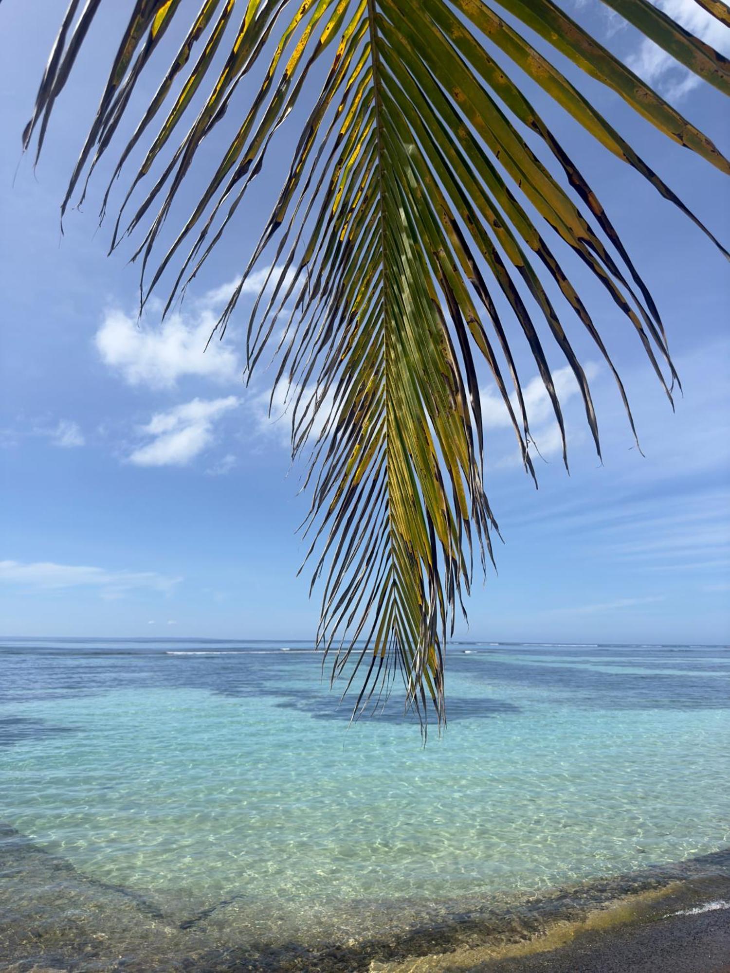 Unique : Pieds Dans L'Eau Face Au Lagon Sainte-Anne  Esterno foto